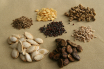 Vegetable seed packs Zimbabwe