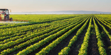 Agricultural consultation service Gweru Zimbabwe