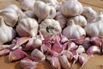 Garlic seed bulbs Zimbabwe